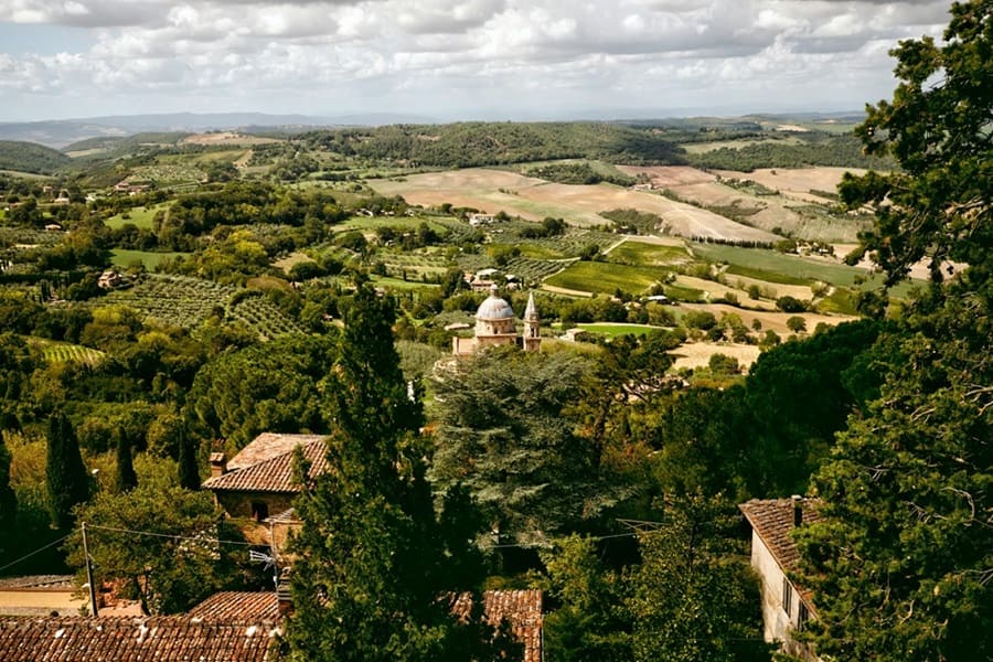Itinerari Enogastronomici Toscana: Chianti, Val d'Orcia e Piatti Tipici
